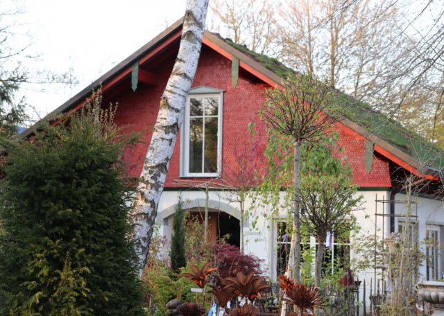 1staudenhaus-rostblume