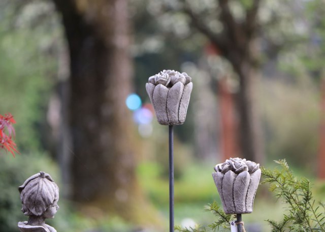 betonrosen