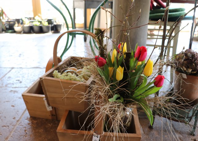 tulpen-koerbe