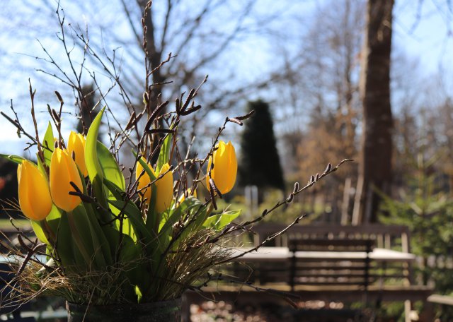 tulpenstrauss